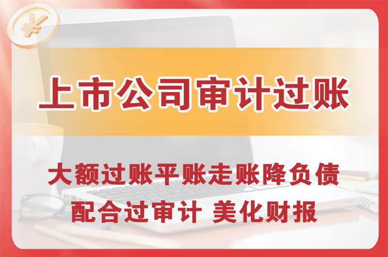 樟树上市公司审计过账
